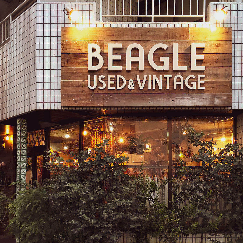 20210607_beagle_shop.jpg