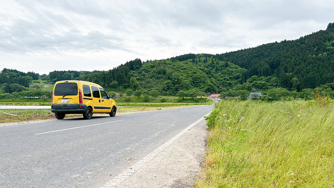 20250524_nature_kangoo.jpg