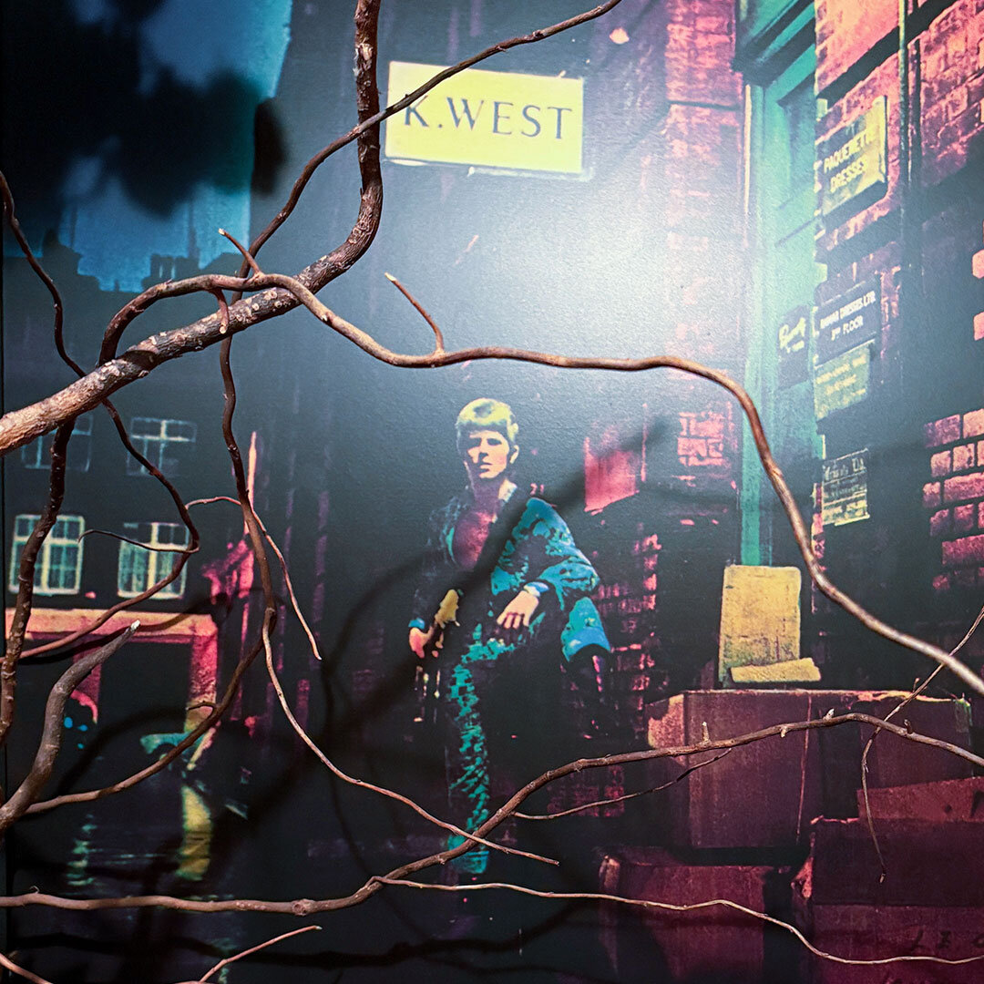 20250716_ziggy.jpg
